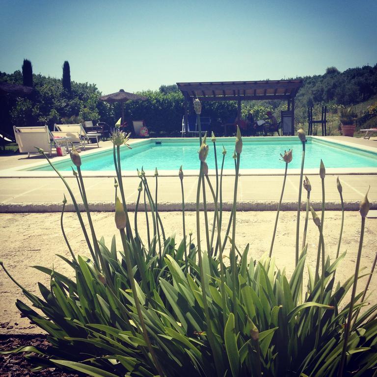 Il Borghetto Andrea Tafi Guest House Lamporecchio Luaran gambar